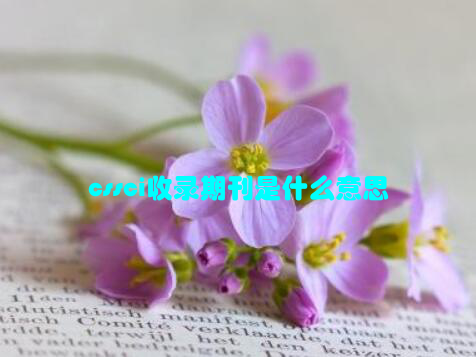 cssci收录期刊是什么意思