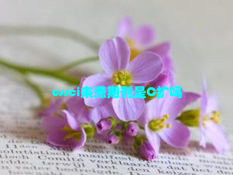 cssci来源期刊是C扩吗