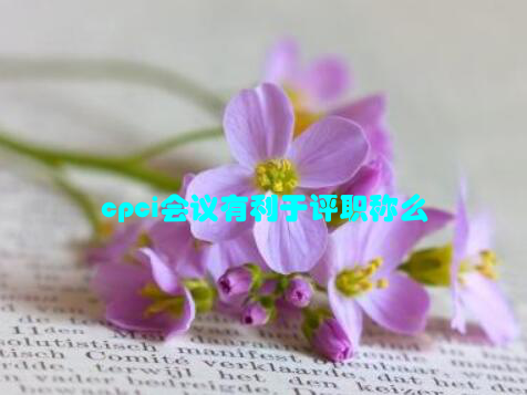 cpci会议有利于评职称么