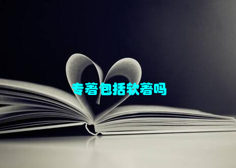 专著包括软著吗
