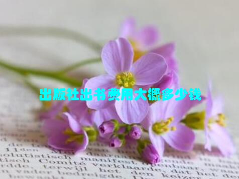 出版社出书费用大概多少钱