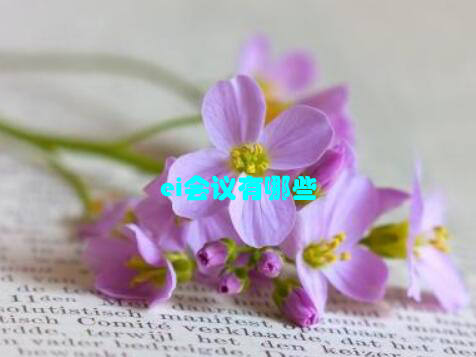 ei会议有哪些