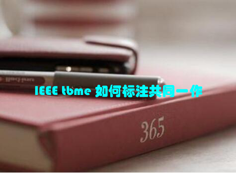 IEEE tbme 如何标注共同一作
