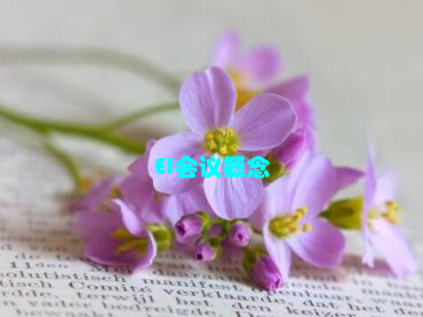 EI会议概念
