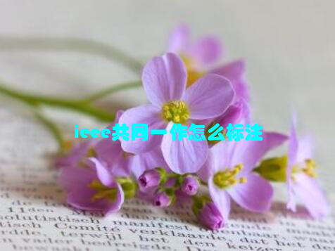 ieee共同一作怎么标注