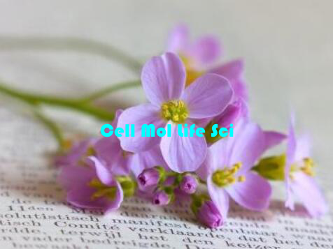 Cell Mol Life Sci