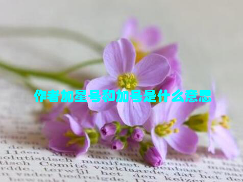 作者加星号和加号是什么意思