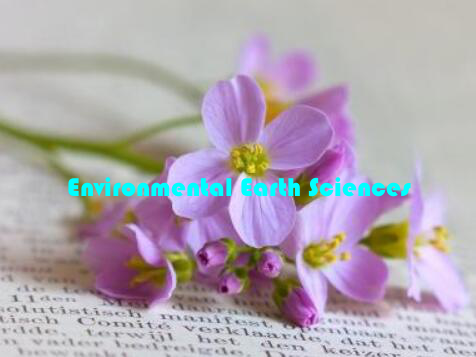 Environmental Earth Sciences