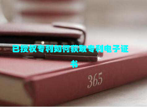 已授权专利如何获取专利电子证书