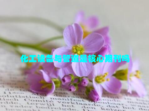 化工设备与管道是核心期刊吗