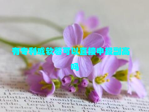 有专利或软著可以直接申报副高吗