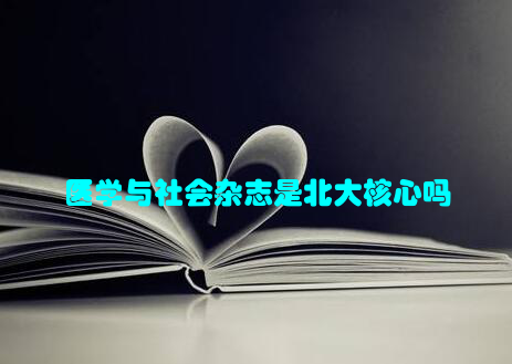 医学与社会杂志是北大核心吗