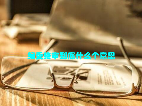 编委终审到底什么个意思