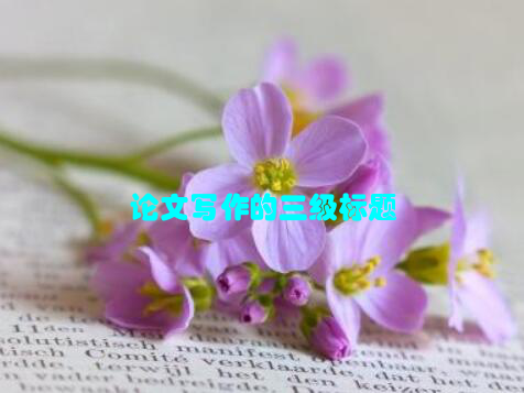 论文写作的三级标题
