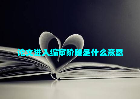 论文进入编审阶段是什么意思