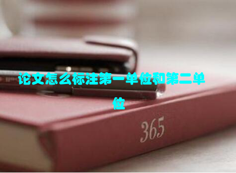 论文怎么标注第一单位和第二单位