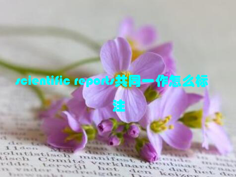 scientific reports共同一作怎么标注
