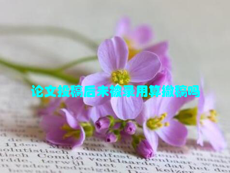 论文投稿后未被录用算撤稿吗