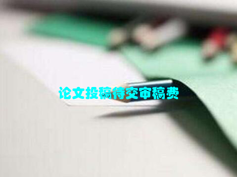 论文投稿待交审稿费