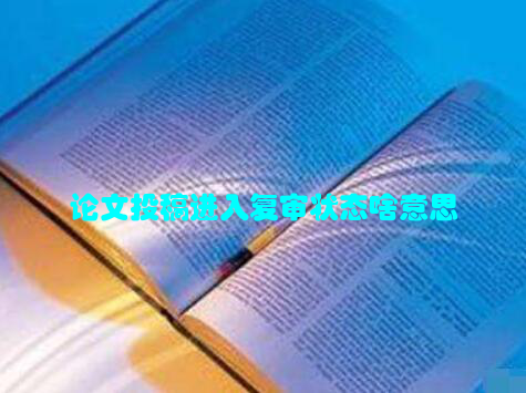 论文投稿进入复审状态啥意思
