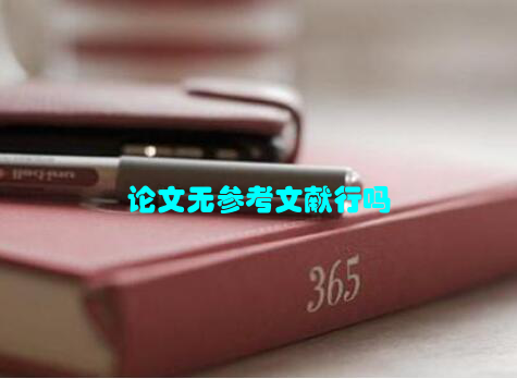 论文无参考文献行吗