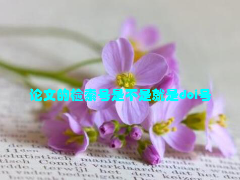 论文的检索号是不是就是doi号