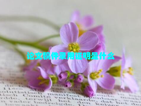 论文稿件录用证明是什么