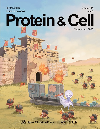 Protein & Cell
